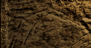 title2Row2xCol1.png