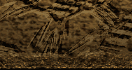 title2Row3xCol2.png