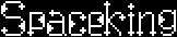 Space King log1