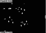 Harrier Scr1