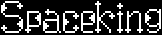 Spaceking log1